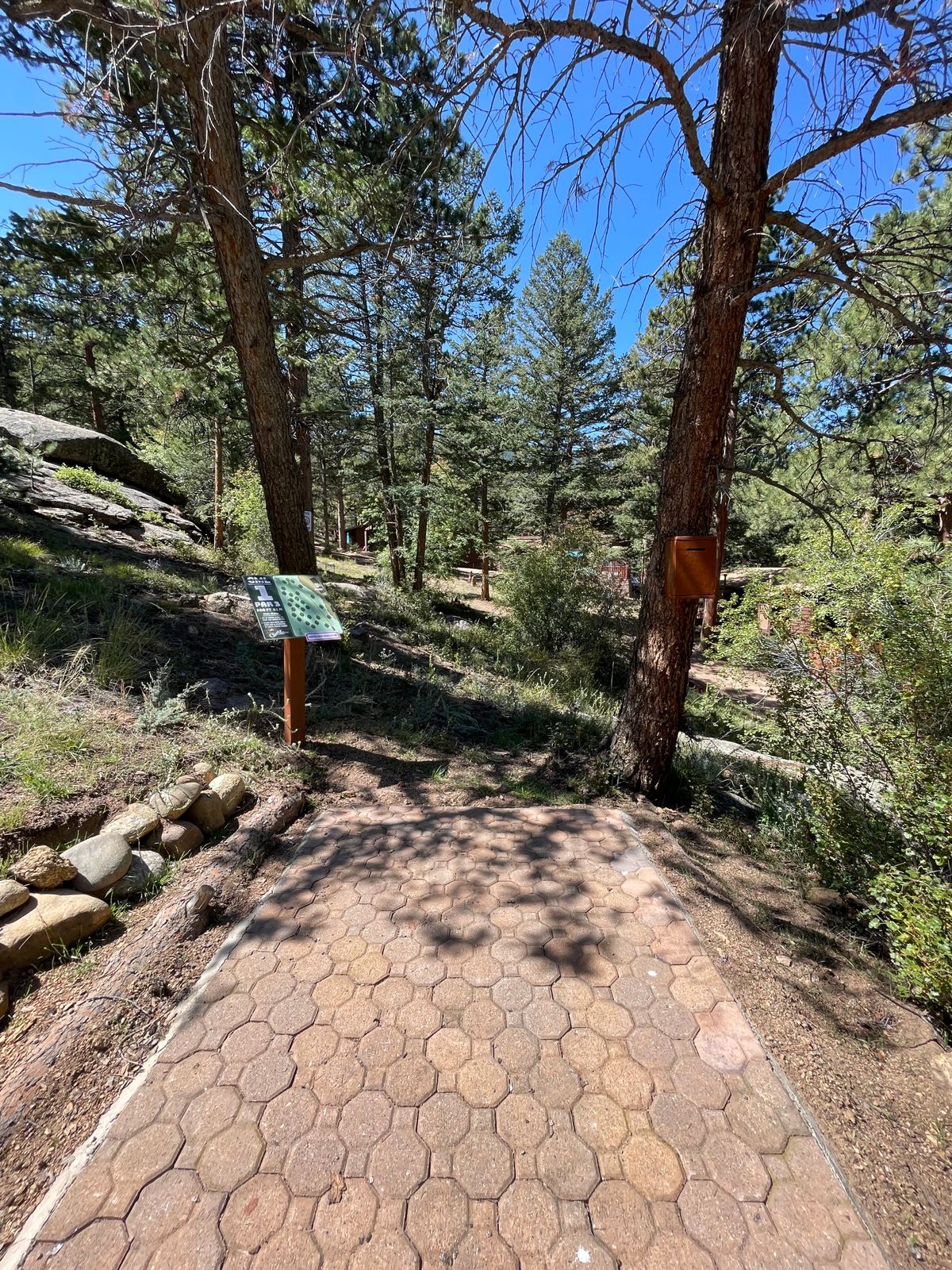 Hole 1 tee