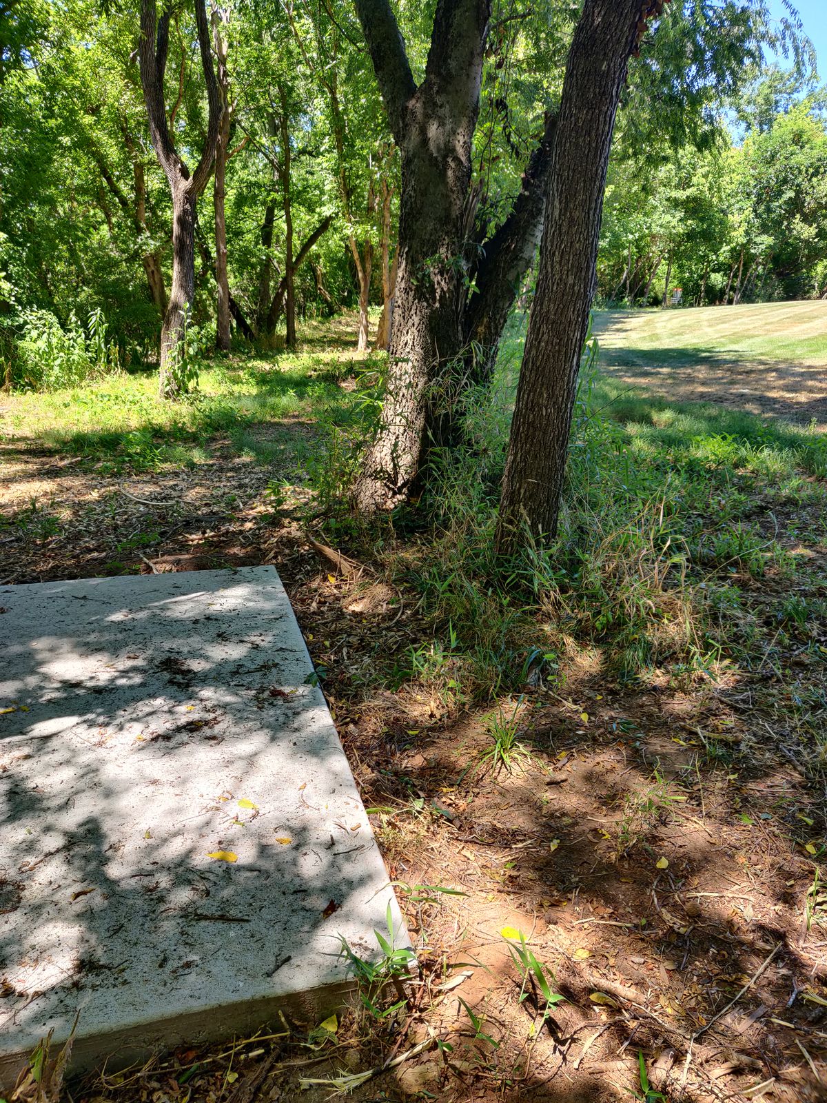 Hole 17. Looking at the basket from the back of the tee pad.