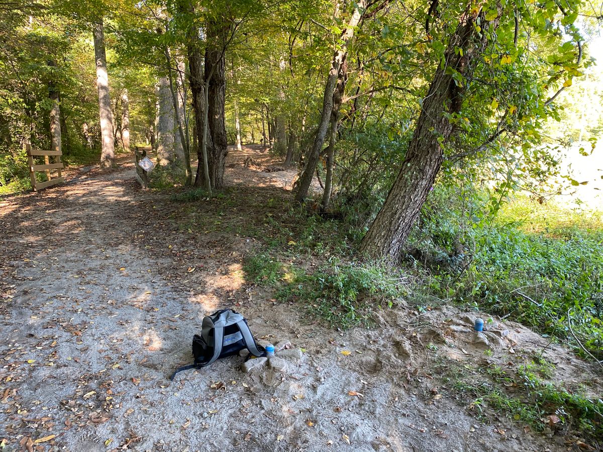 New (as of 9/28) hole 5. Basket through the middle gap (by the old #5 tee).