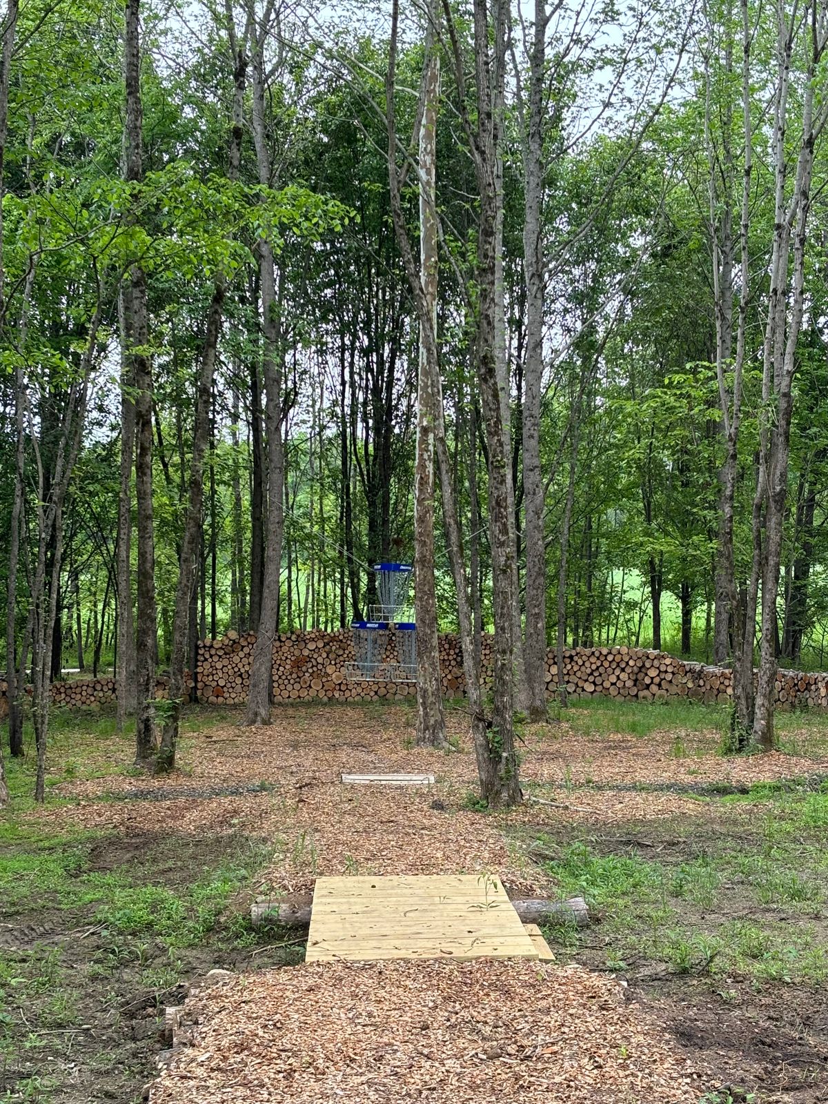 Hole 5