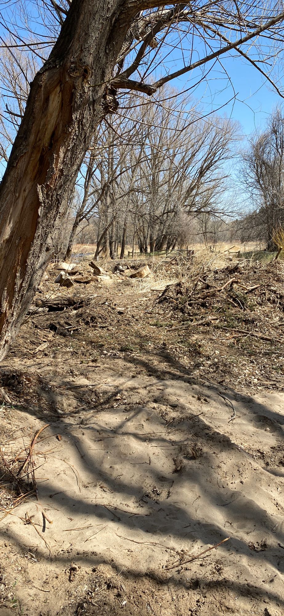 Hole 3 main 9/Hole 6 winter 12