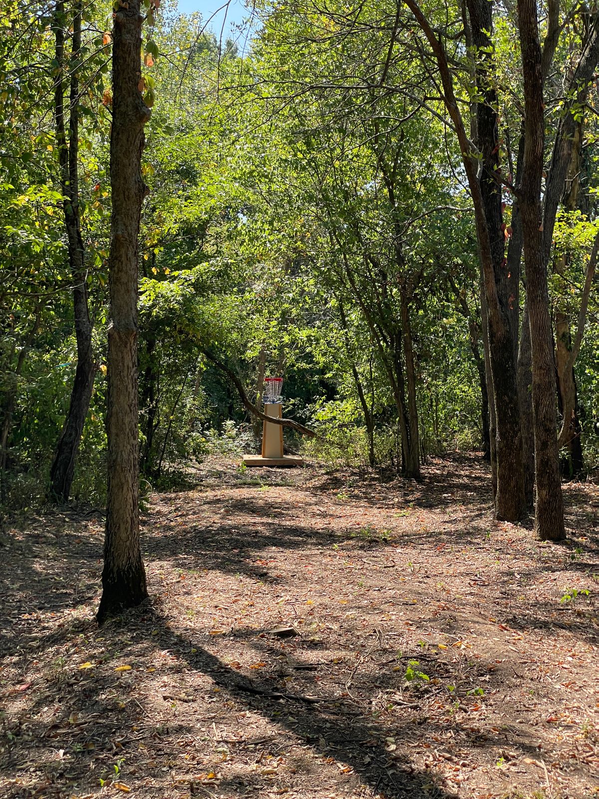 Hole #17 look to raised platform basket