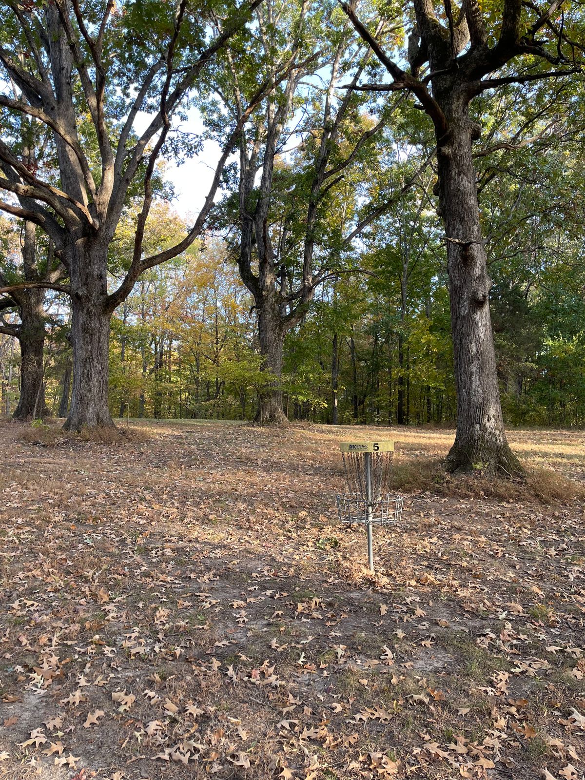 Hole 5