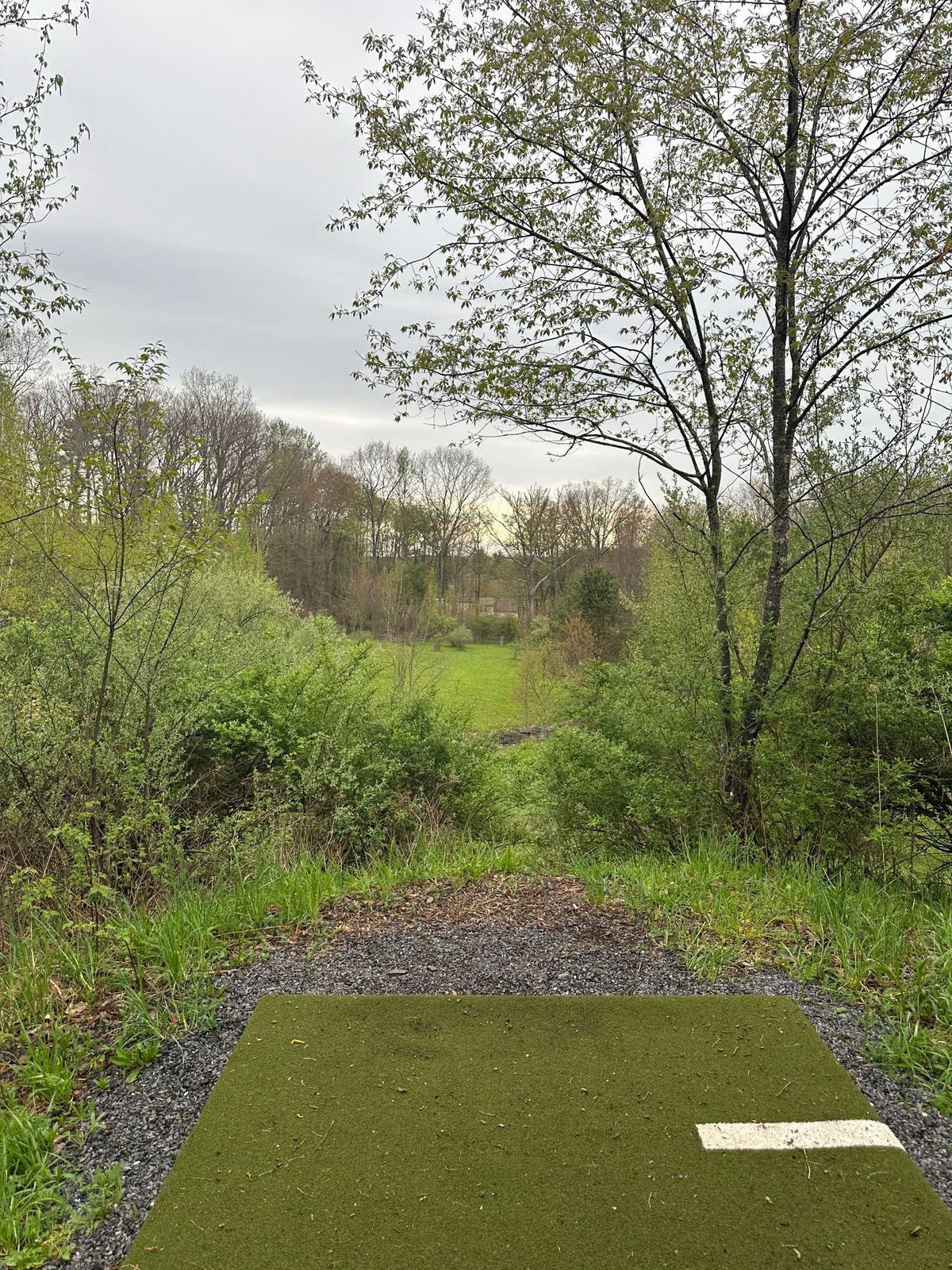Hole Eight Spring