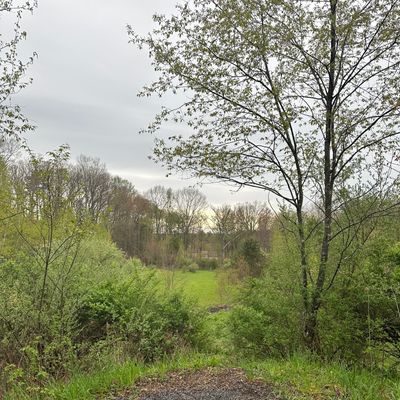 Hole Eight Spring