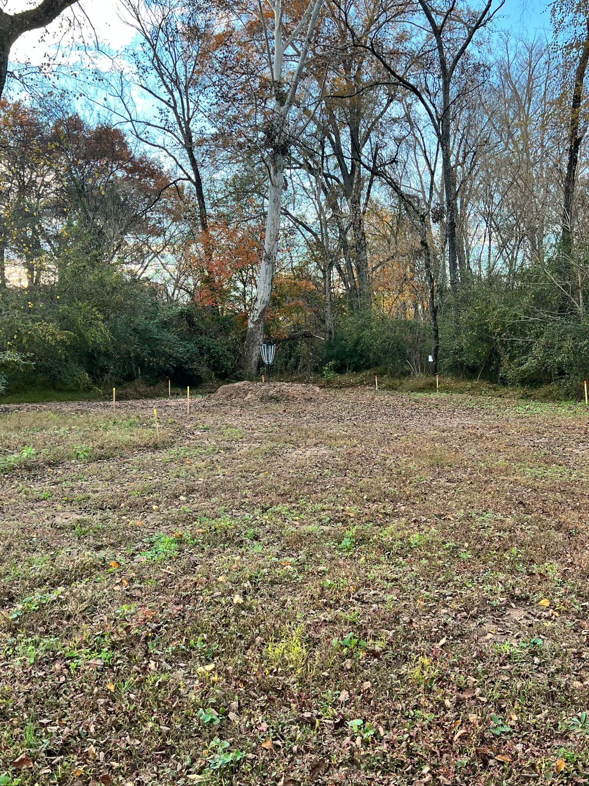 Hole 5 green