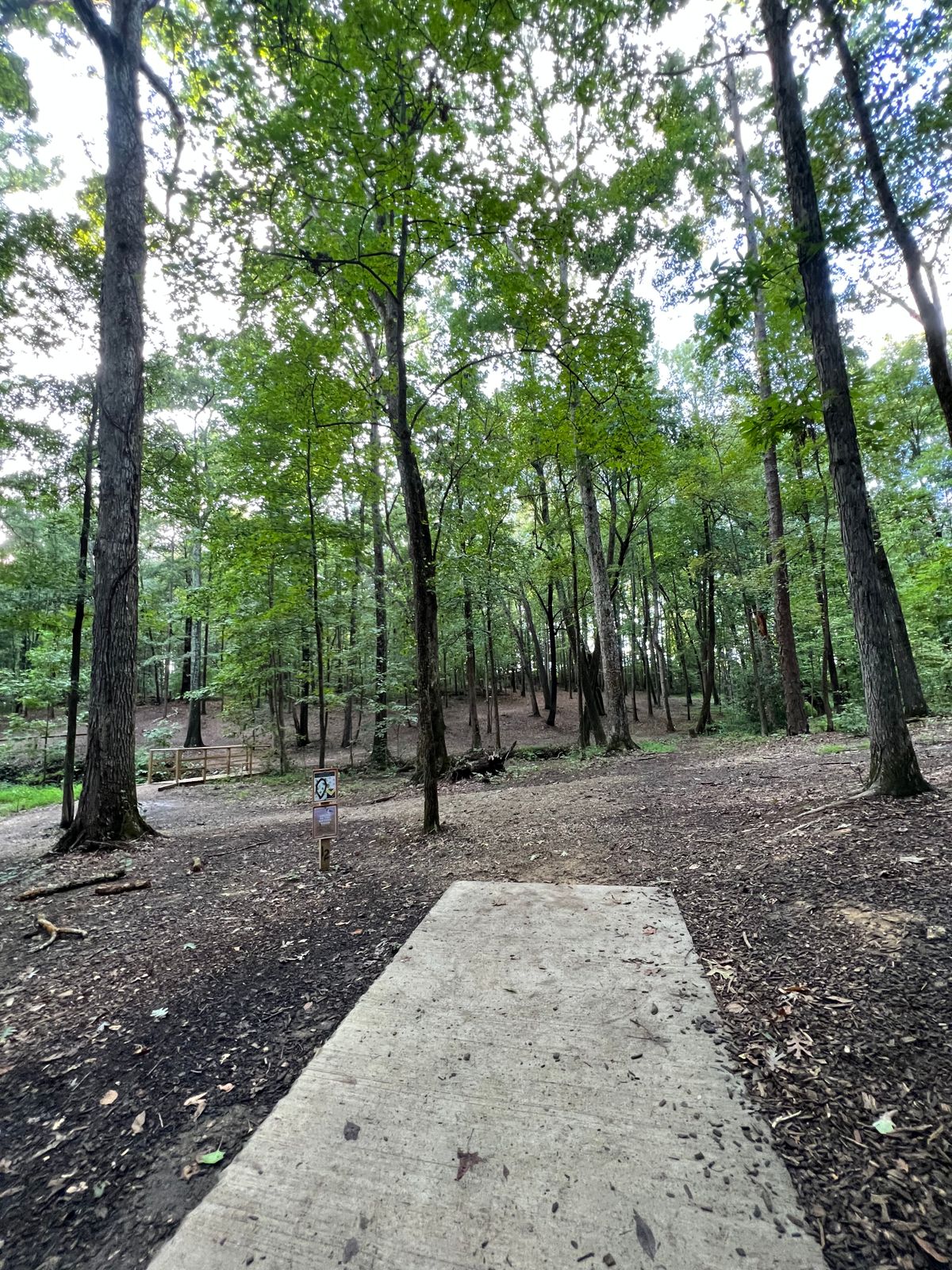 Hole 12