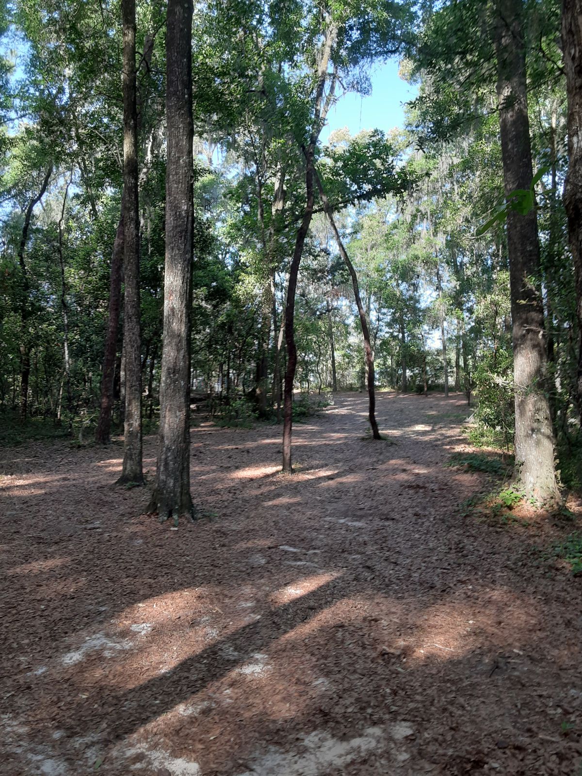 Hole 2 fairway