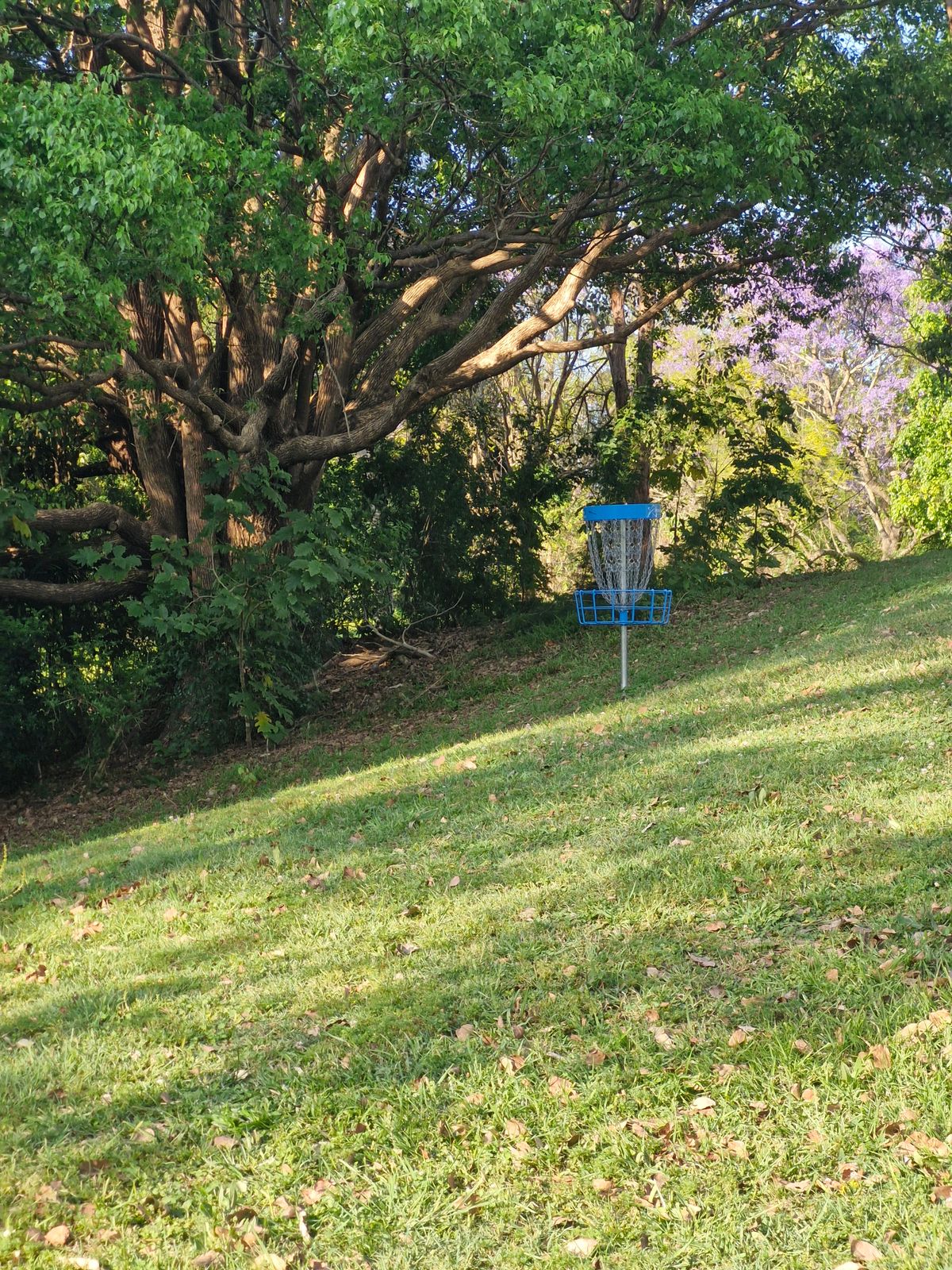 Hole 11