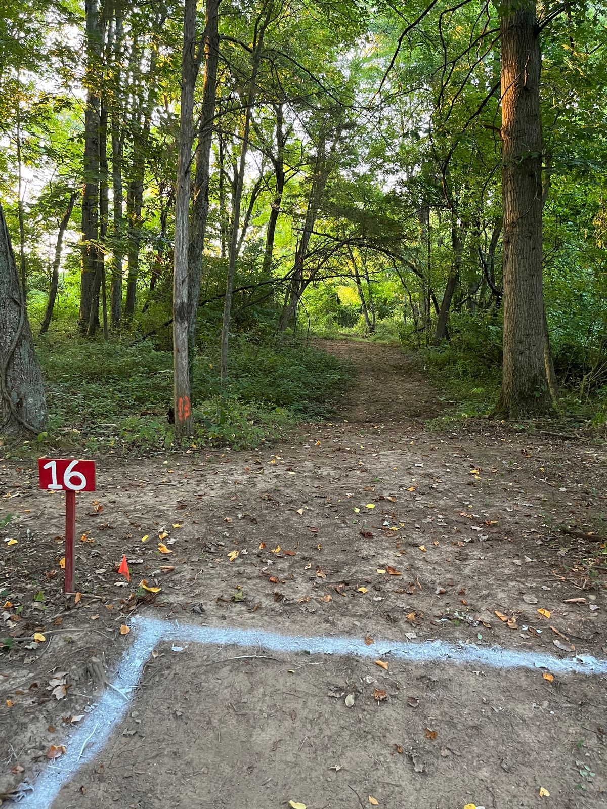 Hole 16