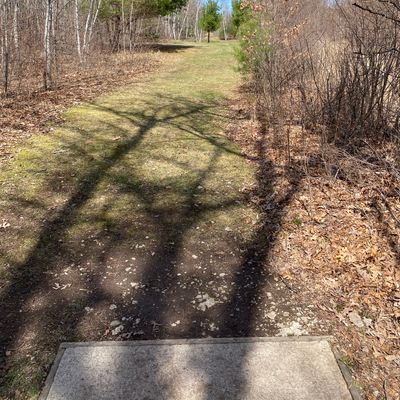 Hole 5 tee