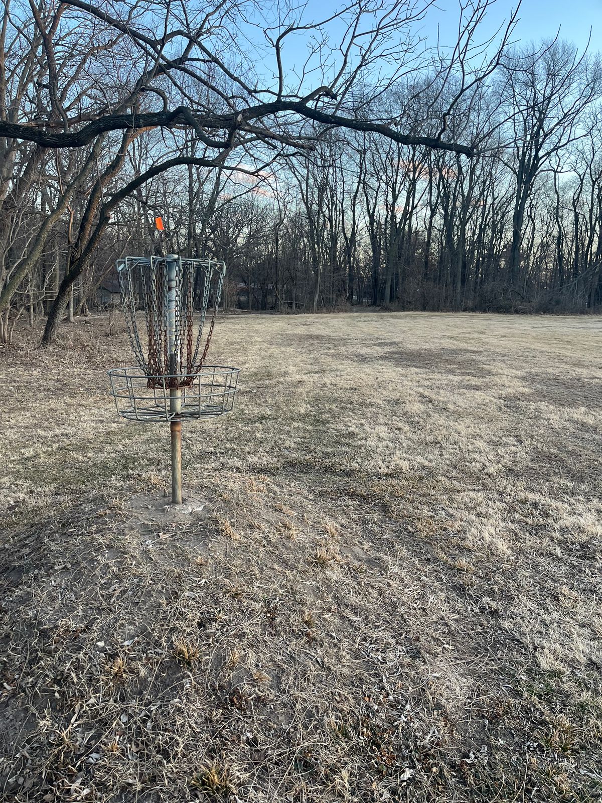 Hole 3 basket
