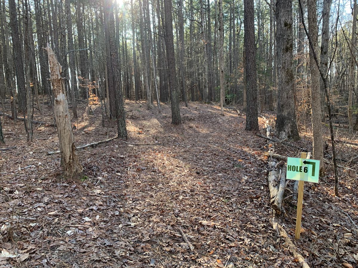 Hole 6 tee area