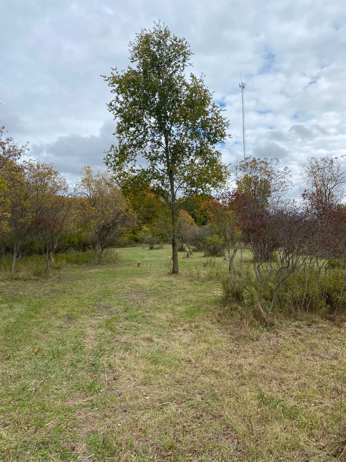 Hole 14 fairway