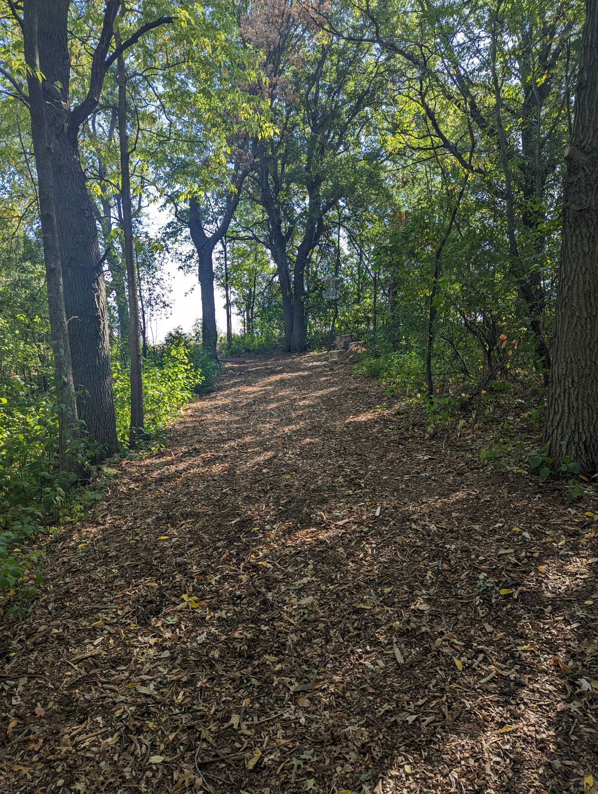 Fairway