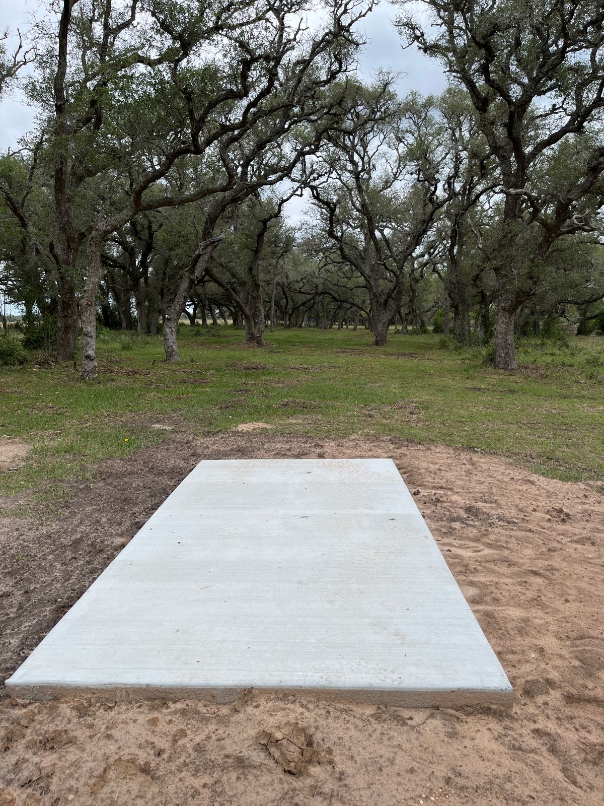Hole 7, tree tunnel!