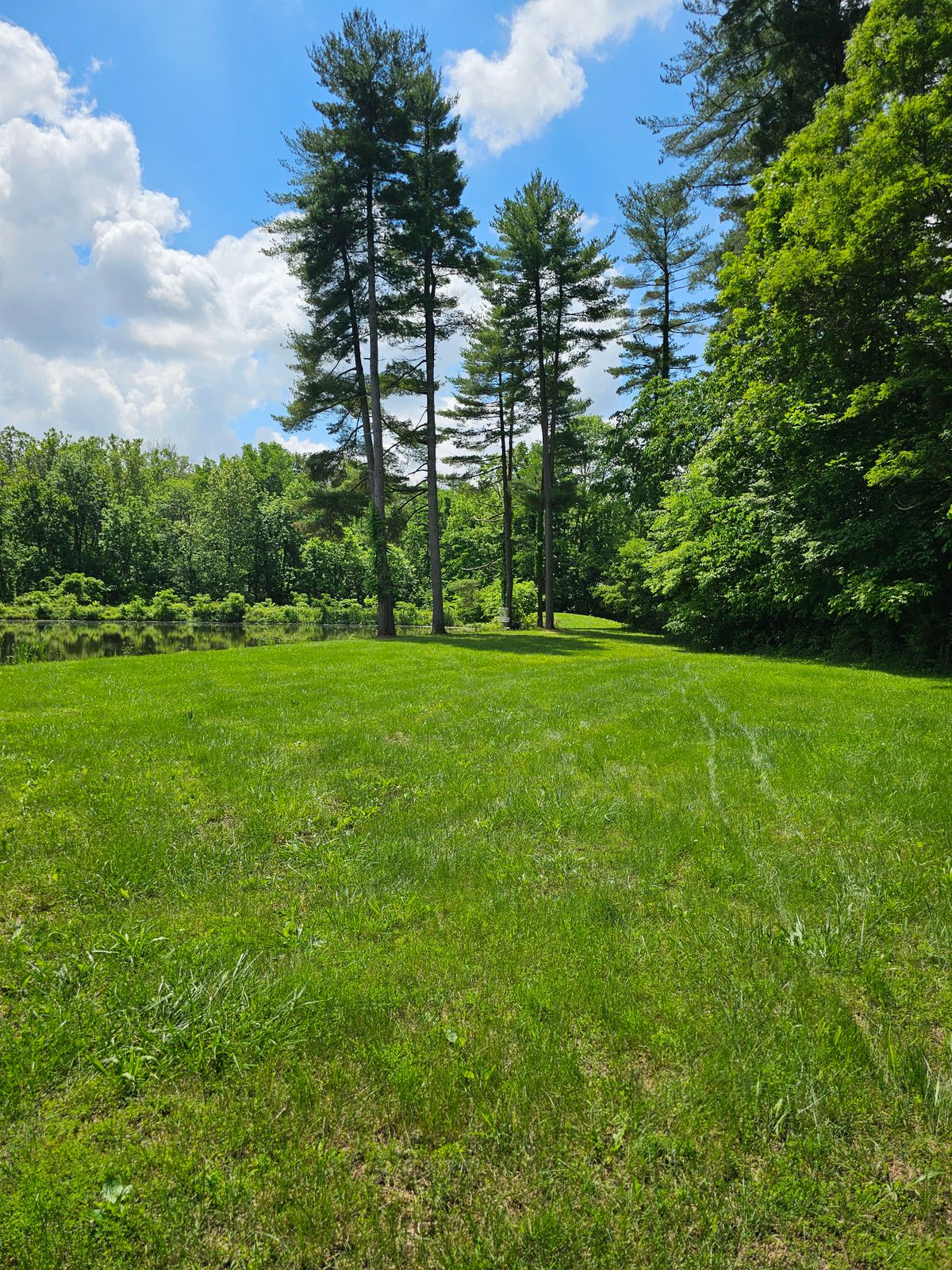 Hole 18 basket