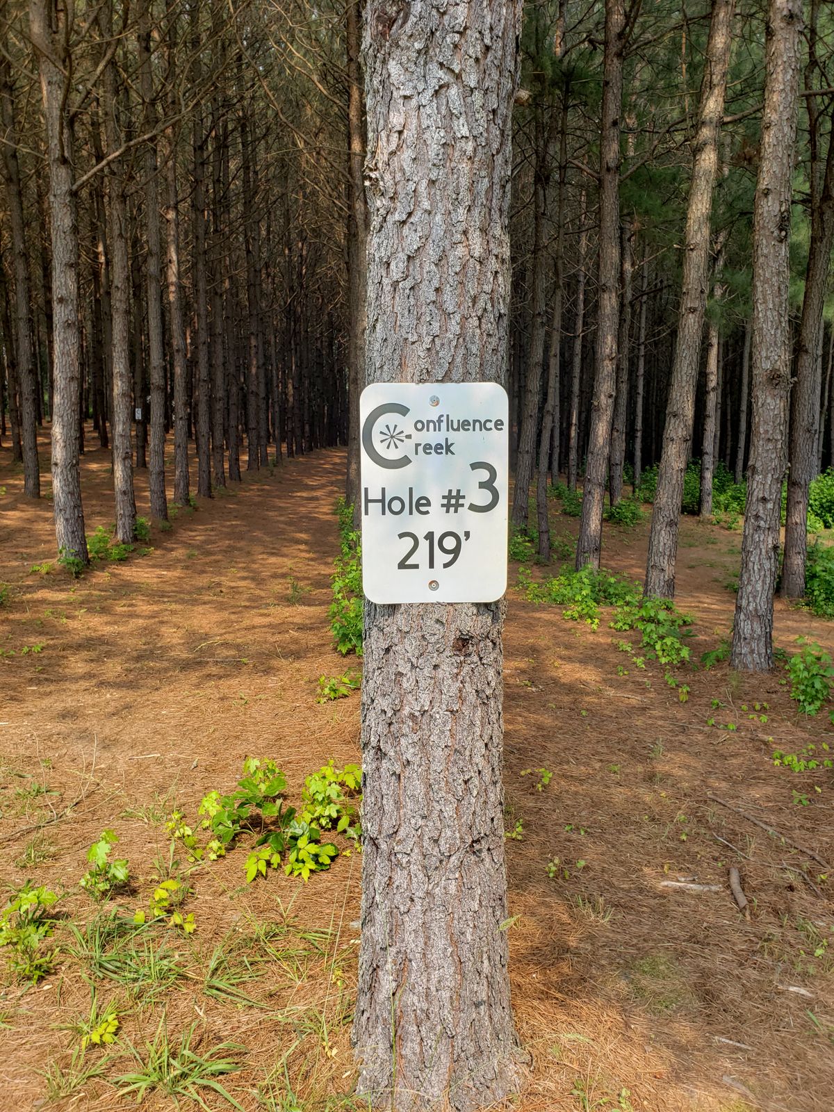 Hole 3 tee sign