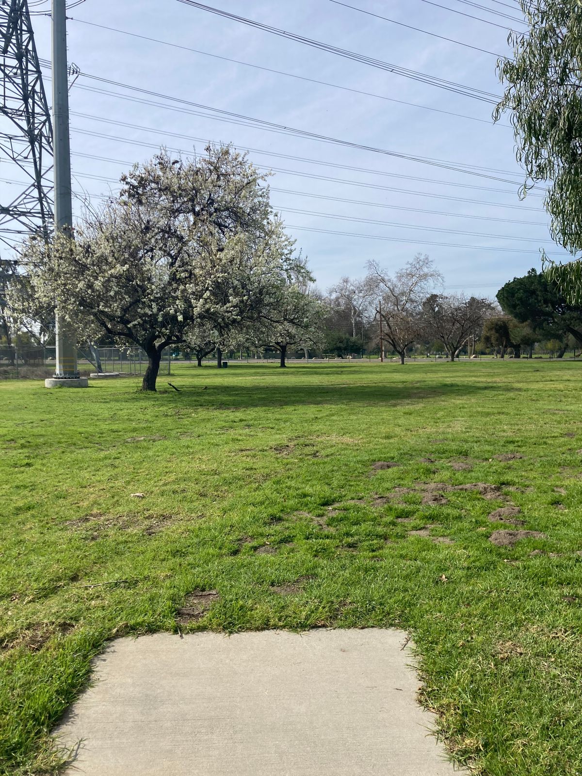 Original hole 3 (plays to hole 1-C position)