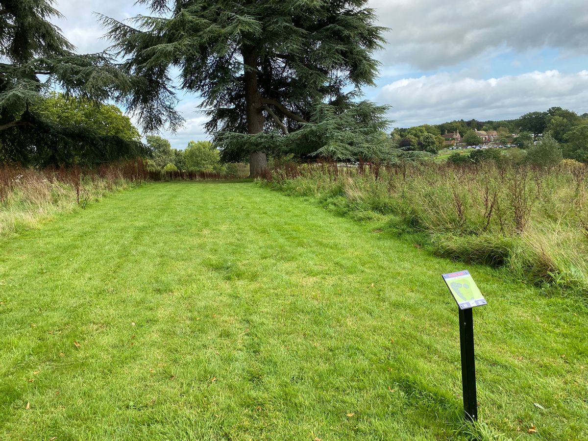 Hole six short tee