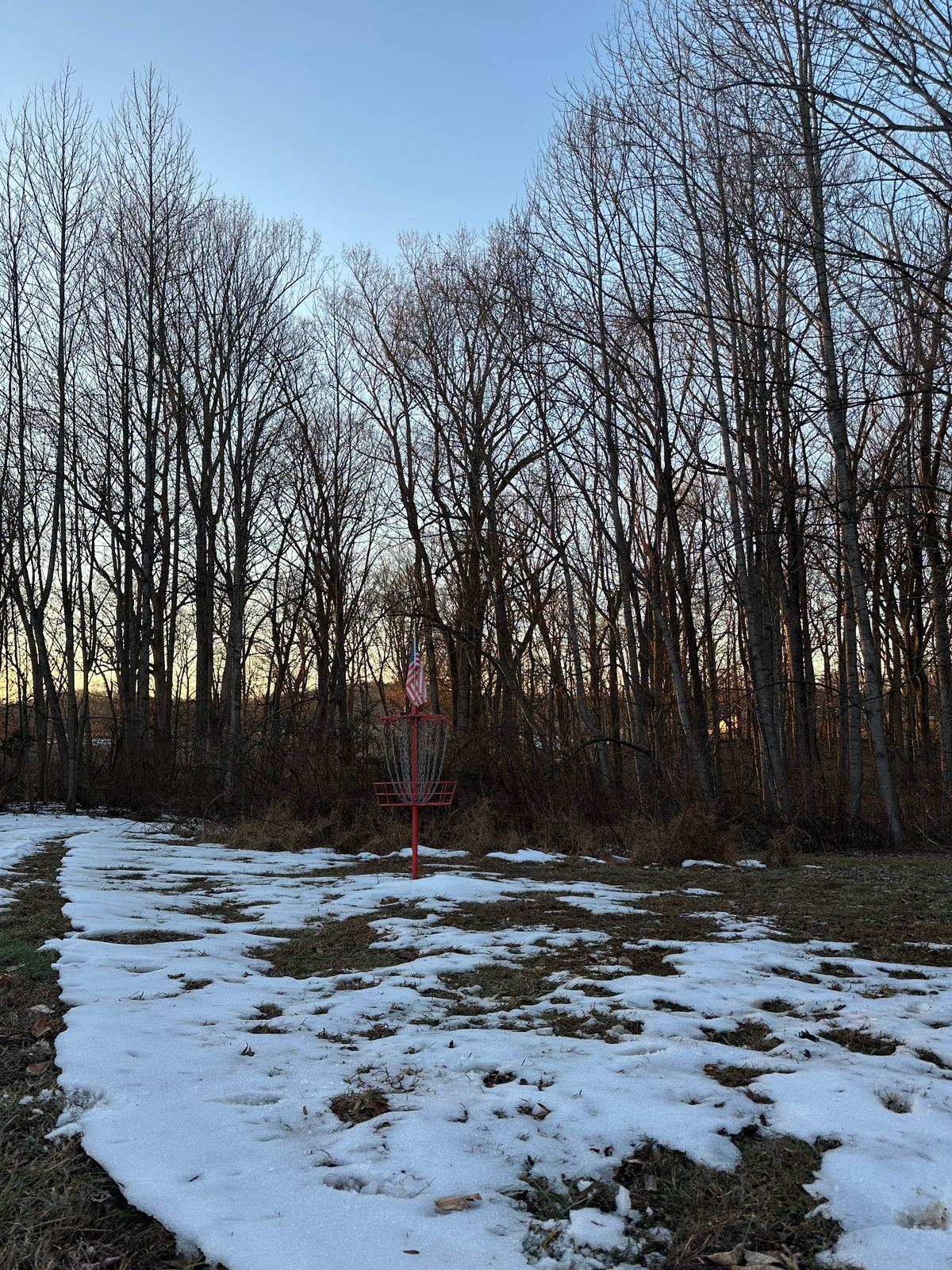 Hole 11 basket
