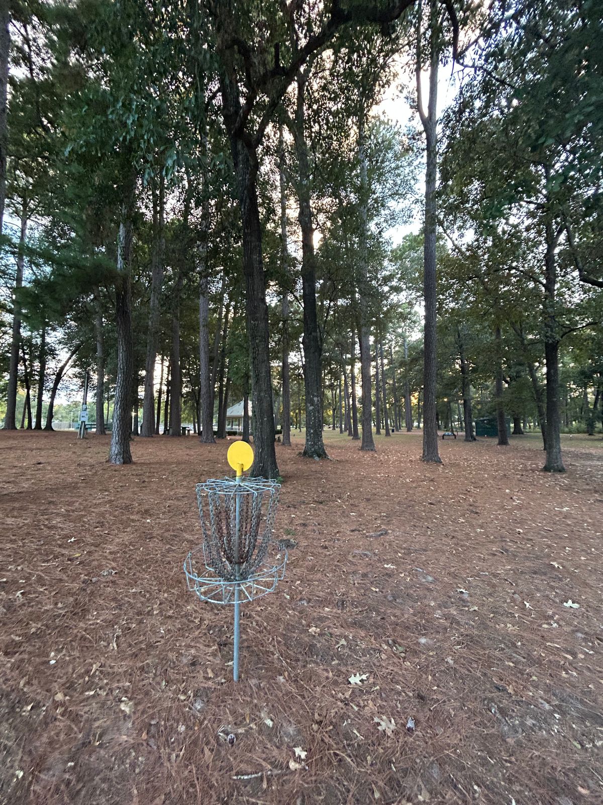 11/2 