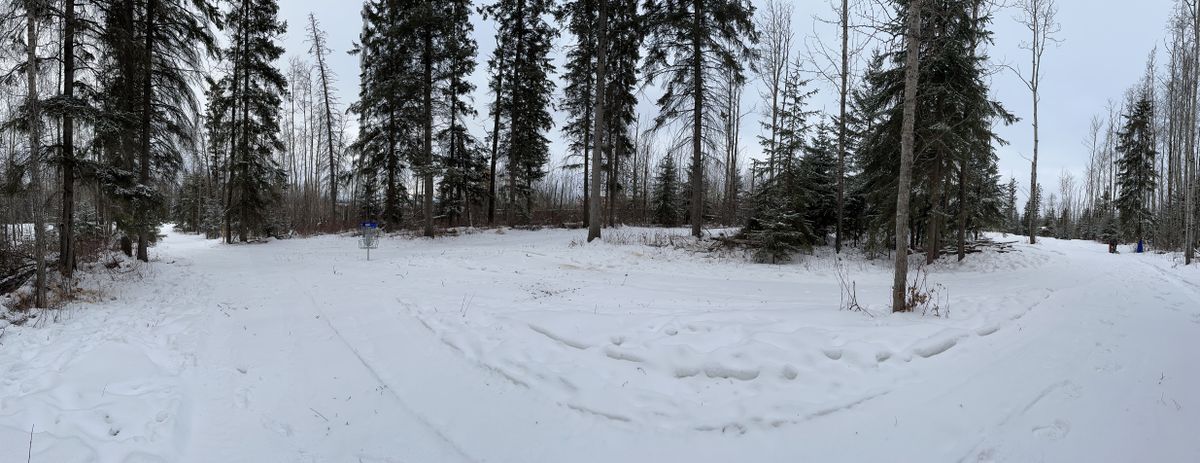 Hole 11