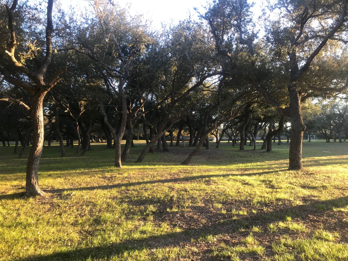 Hole 1