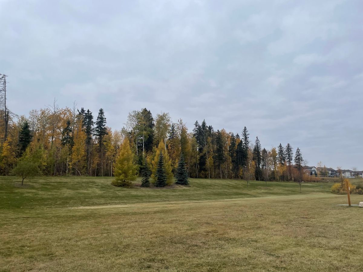 16 tee pad looking from 15 basket