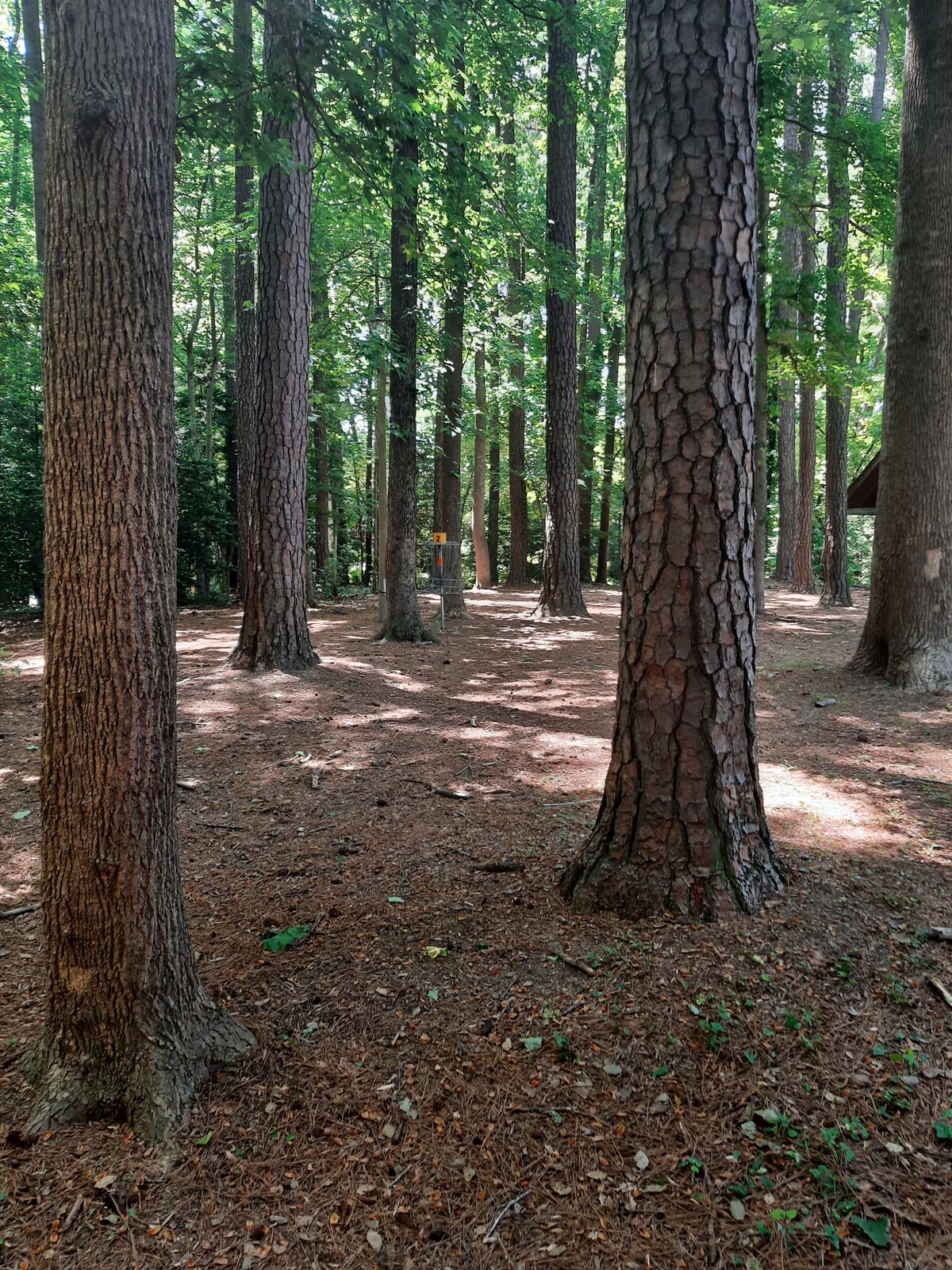 Hole 2 Approach
