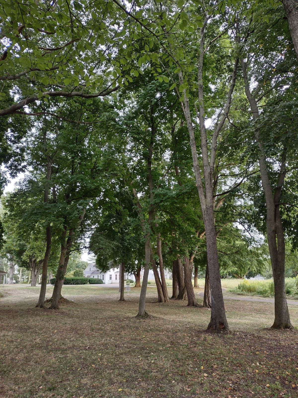 Hole 18 basket