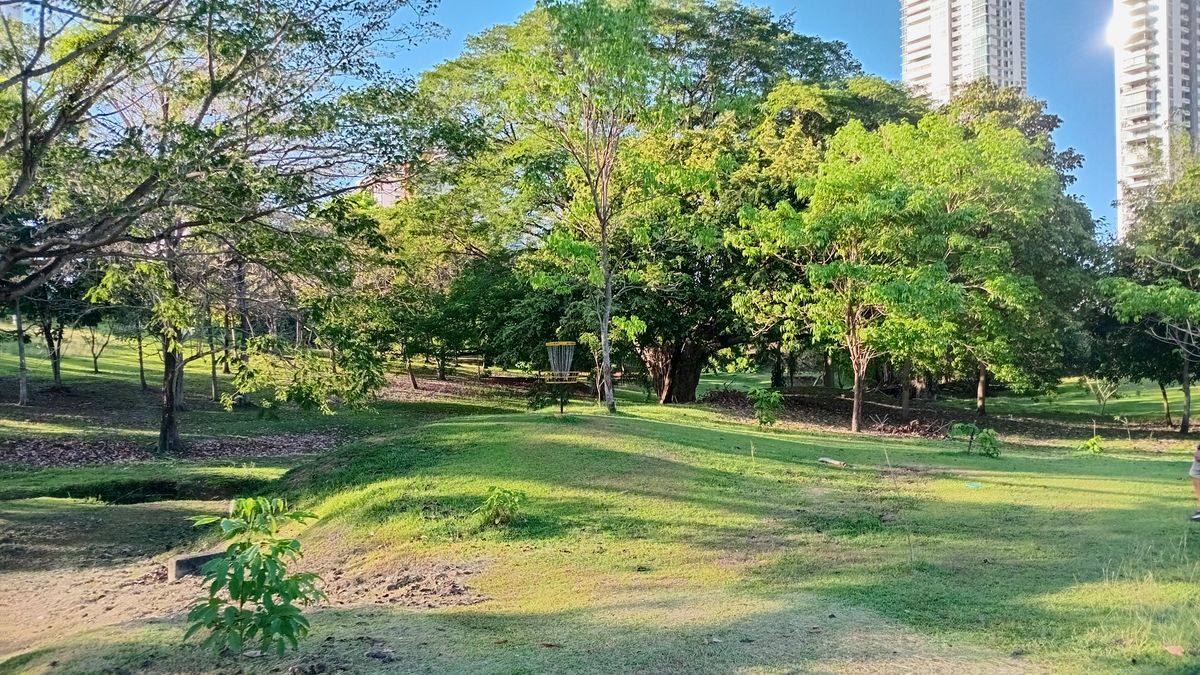 Parque Omar Disc Golf Course
Hole 4 Target