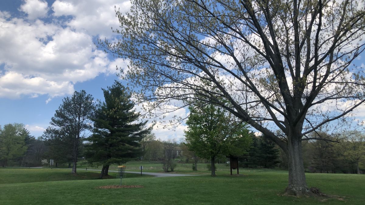 Hole 1 basket