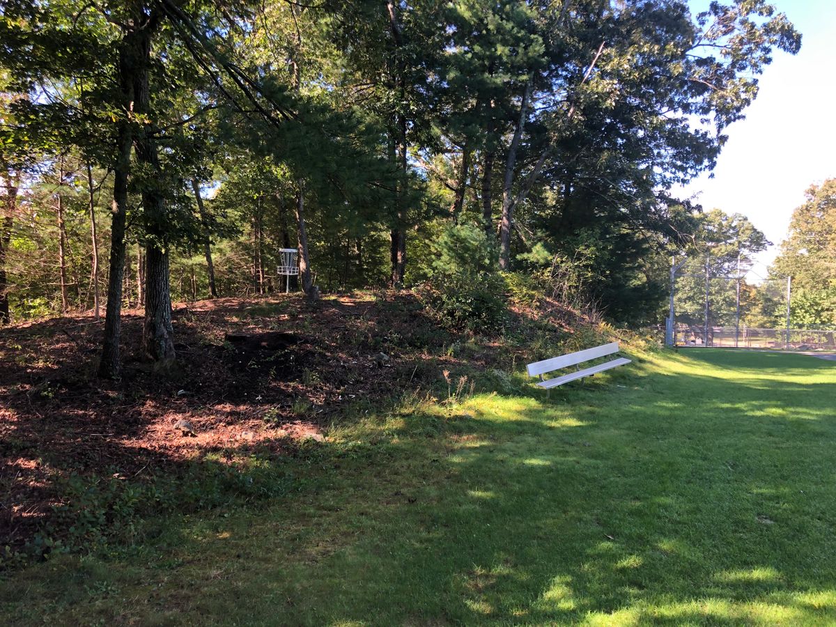 Hole 9 basket