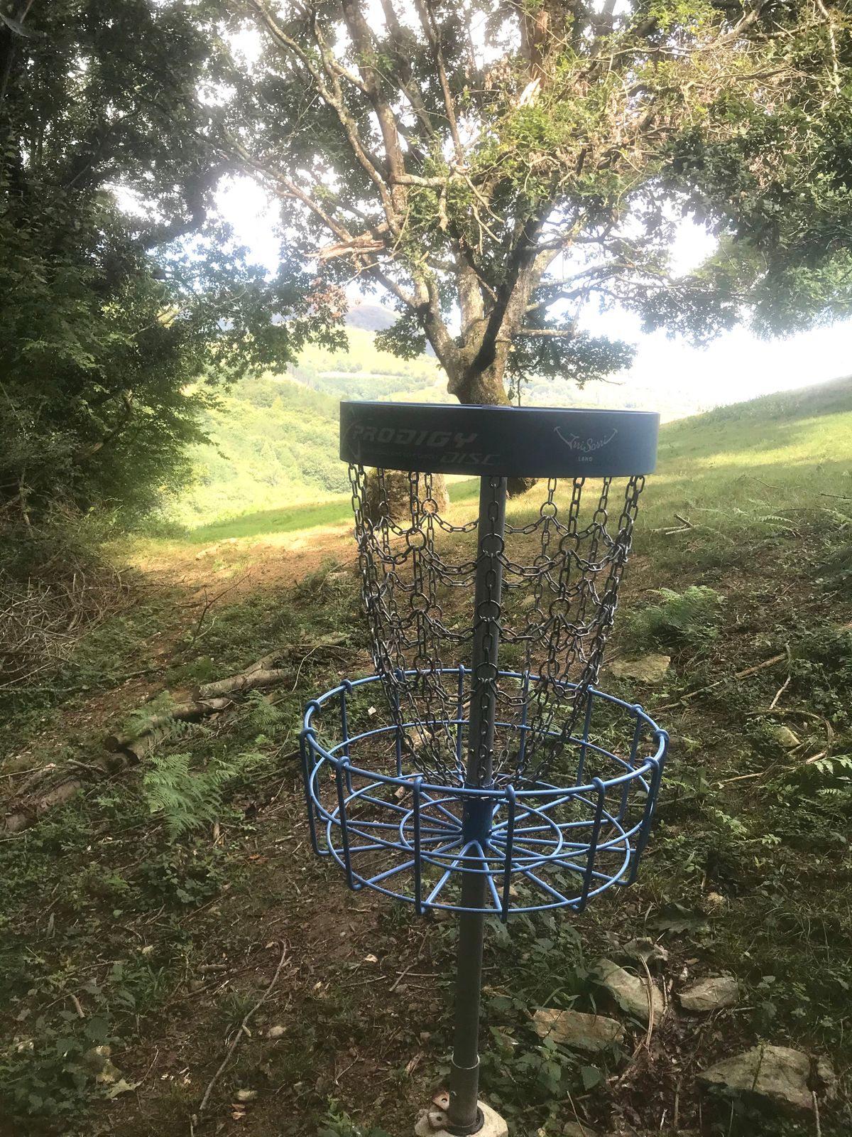 #5 - view back toward tee
