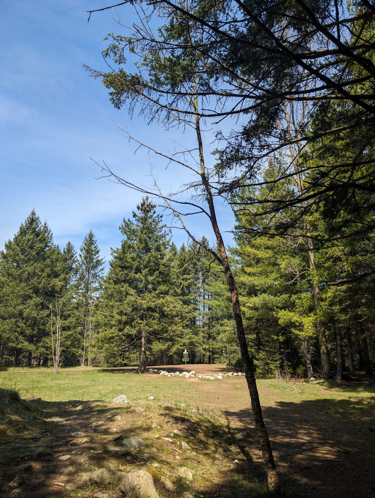 Hole 5
