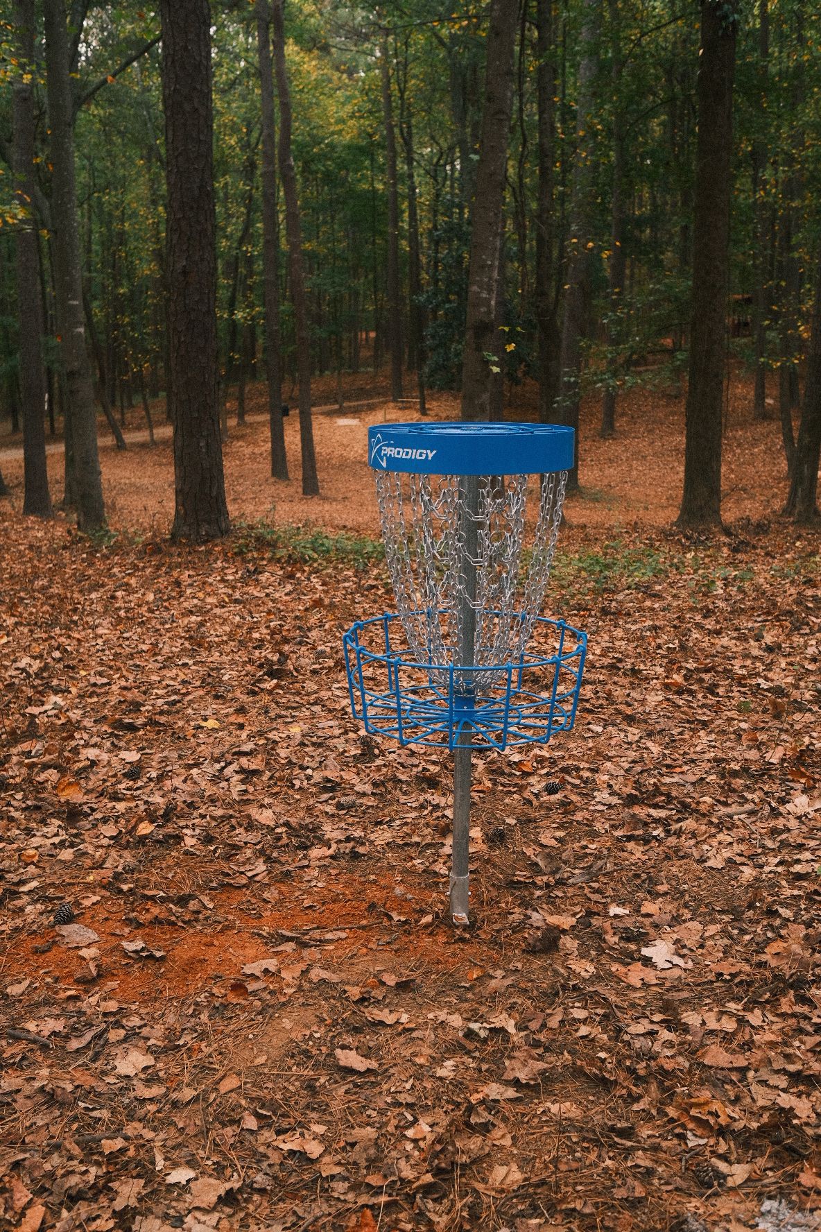 #2 basket looking at tee