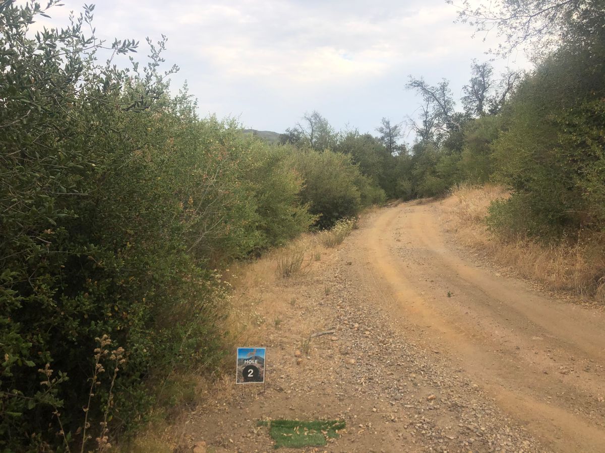 Hole 2. Basket is almost straight ahead, but there is a slight left curve to the fairway.