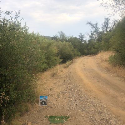 Hole 2. Basket is almost straight ahead, but there is a slight left curve to the fairway.
