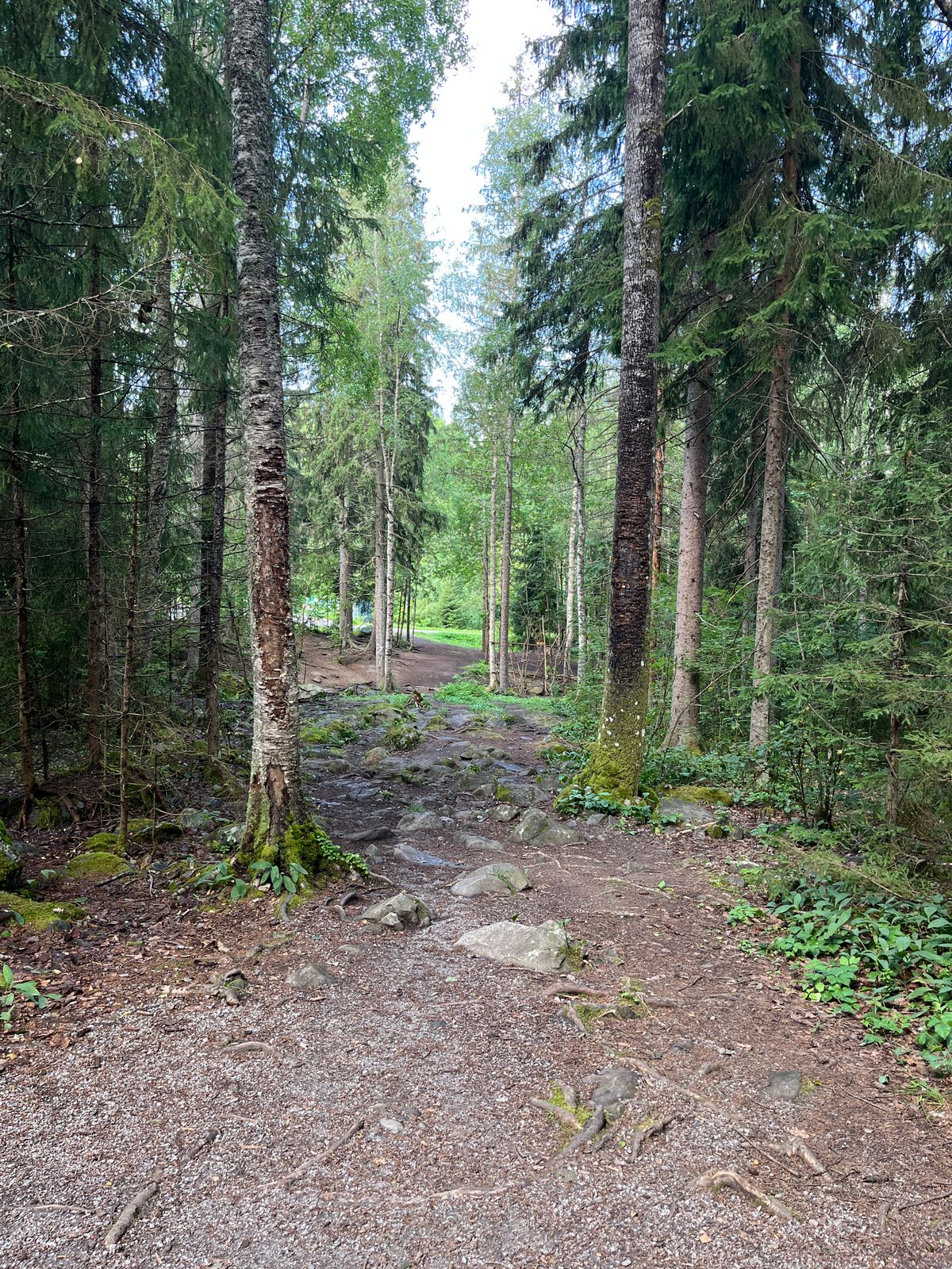 Hole 18, tee