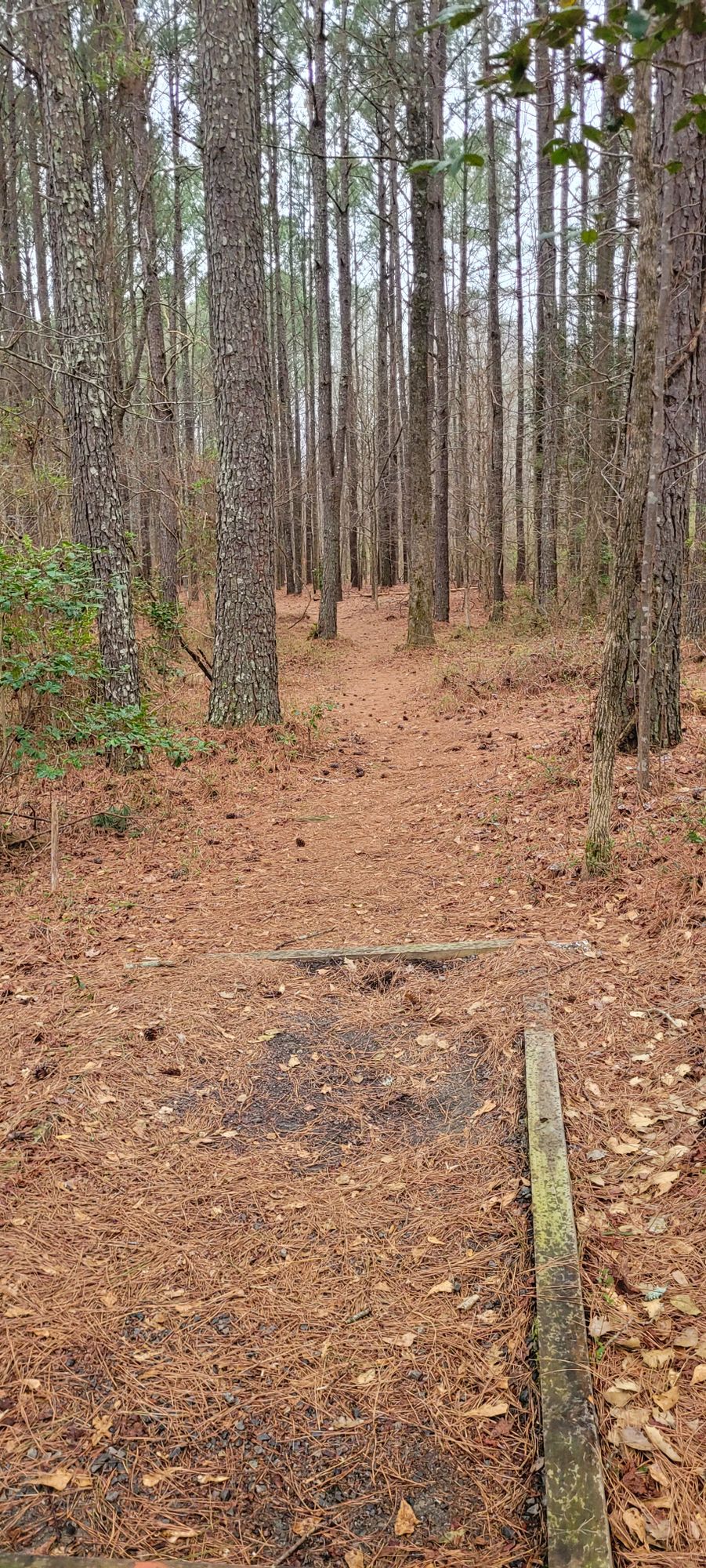 Orange Tee, Hole 13