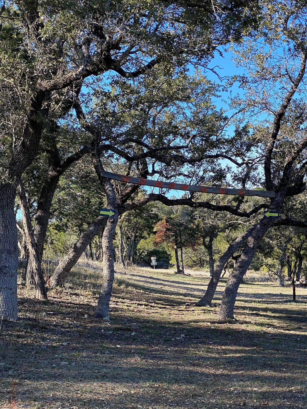 The triple mando on hole 8, with the basket set at the long position.