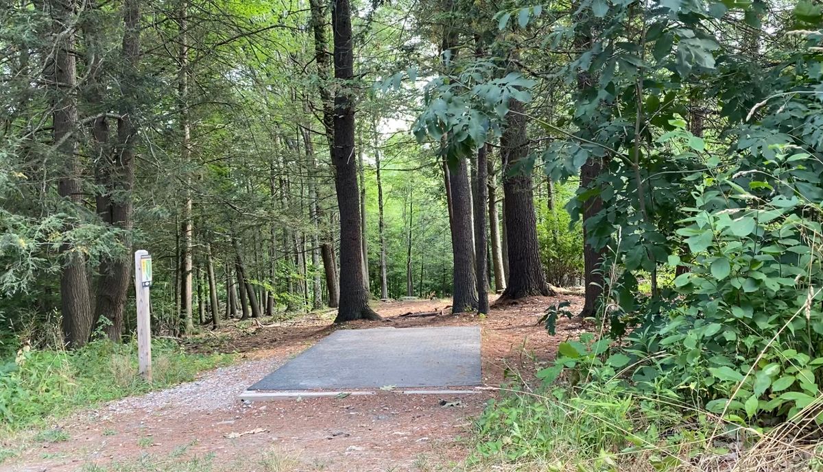 Tee pad 9