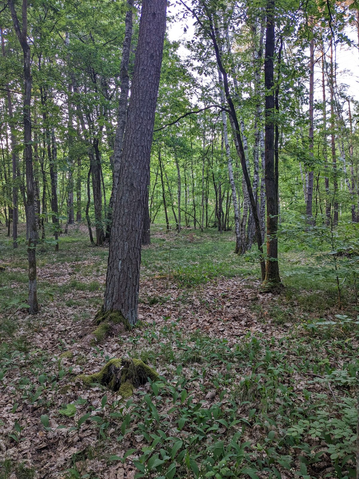 Hole 13