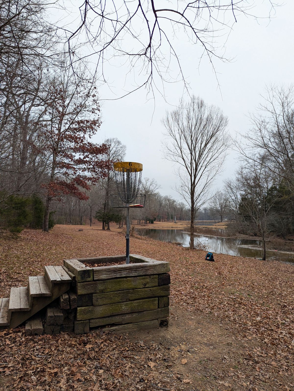 Looking back on #6's fairway