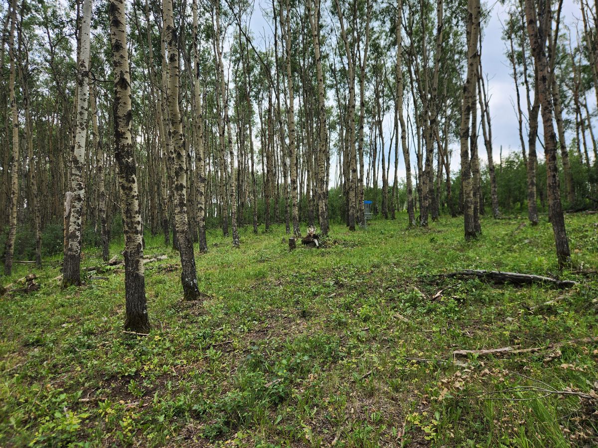Hole 13