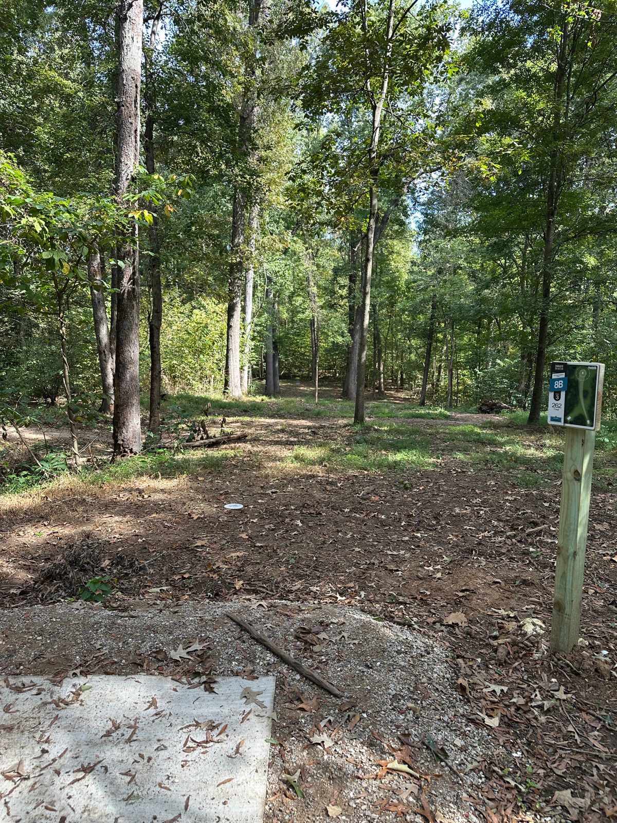 Hole 8 short tee.
