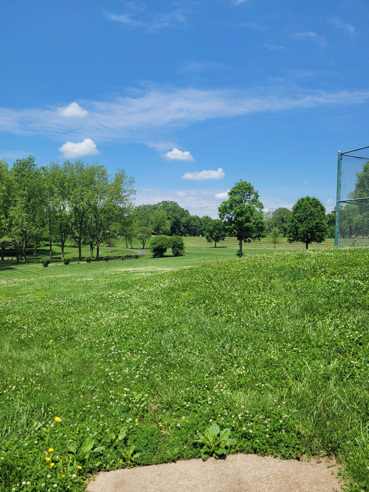 Hole 5 Tee to Basket