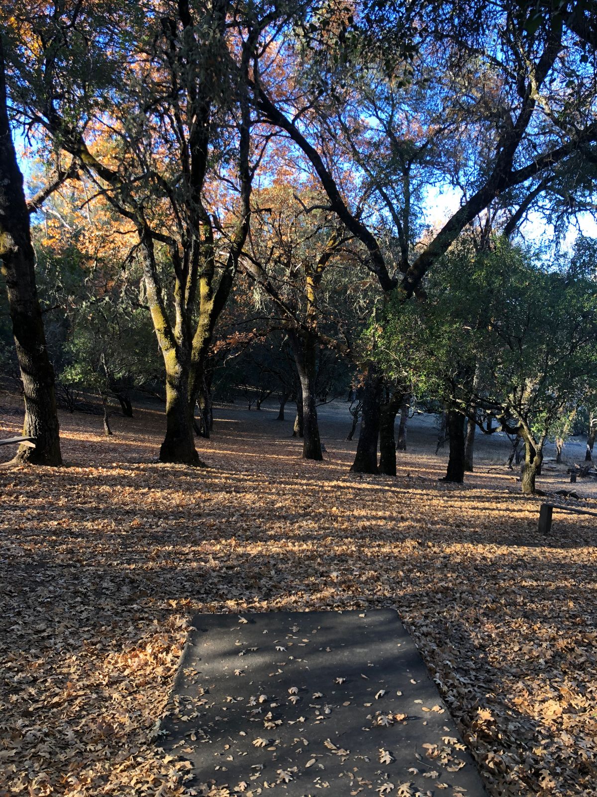 Hole 6