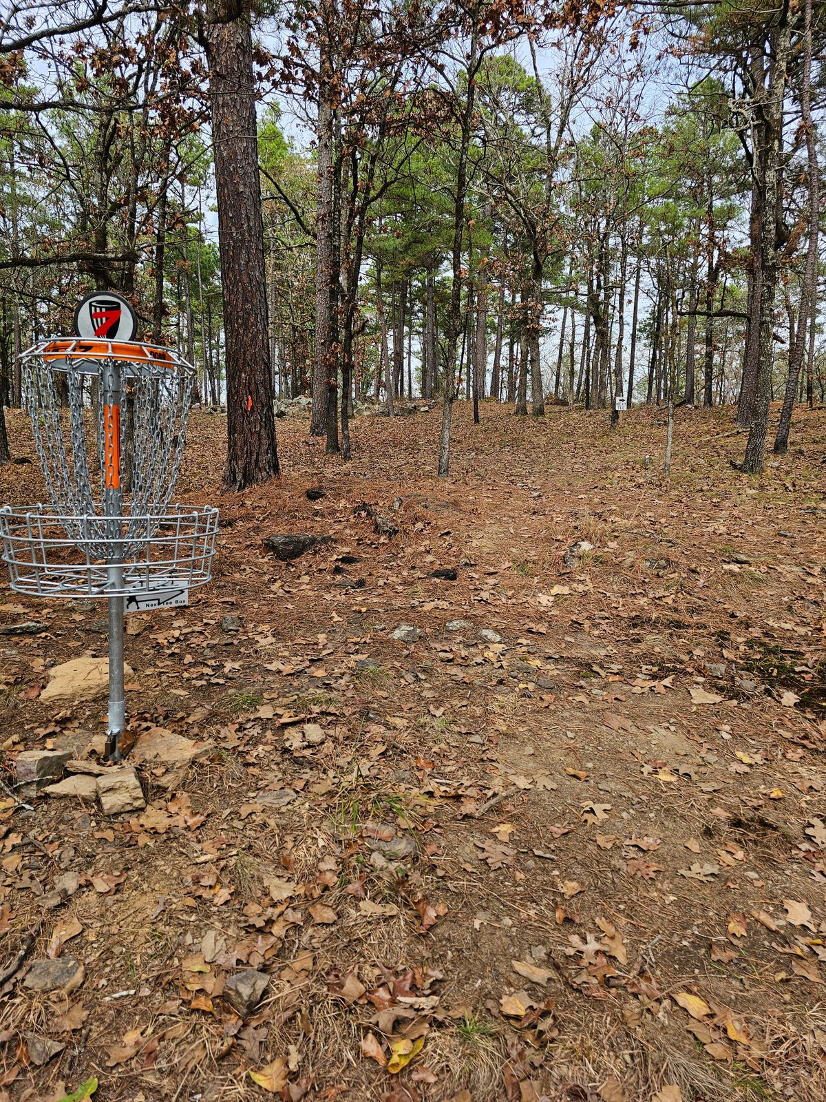 Hole 7
